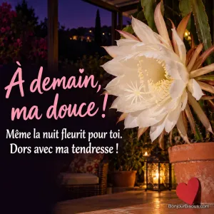Une grande fleur blanche de cereus s’ouvre la nuit près d’un petit cœur rouge, avec le texte « À demain, ma douce ! Même la nuit fleurit pour toi. Dors avec ma tendresse ! ».