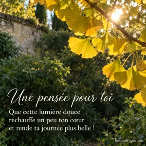 Des feuilles de ginkgo dorées laissent passer le soleil dans un jardin bordelais, avec le texte « Une pensée pour toi Que cette lumière douce réchauffe un peu ton cœur et rende ta journée plus belle ! ».