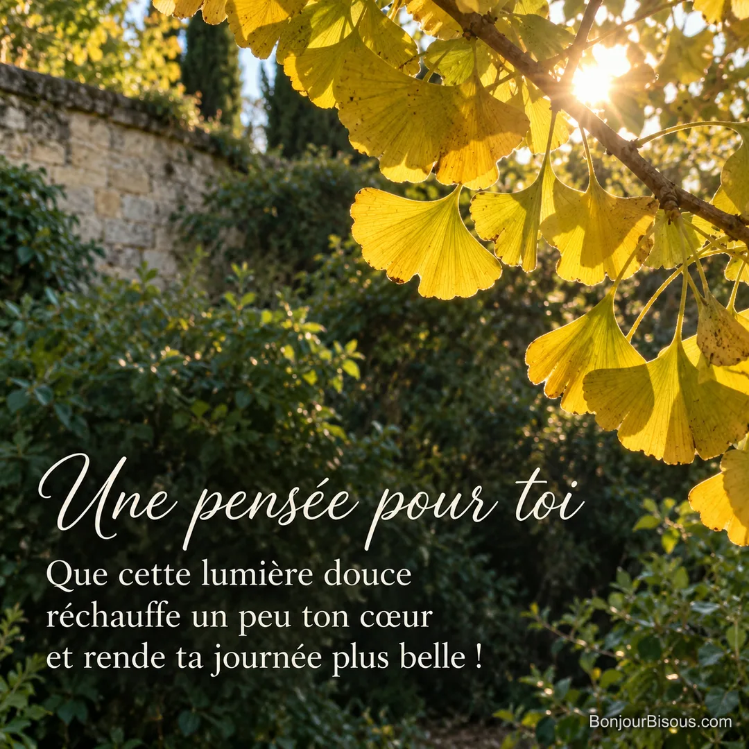 Des feuilles de ginkgo dorées laissent passer le soleil dans un jardin bordelais, avec le texte « Une pensée pour toi Que cette lumière douce réchauffe un peu ton cœur et rende ta journée plus belle ! ». Des feuilles de ginkgo dorées laissent passer le soleil dans un jardin bordelais, avec le texte « Une pensée pour toi Que cette lumière douce réchauffe un peu ton cœur et rende ta journée plus belle ! ».