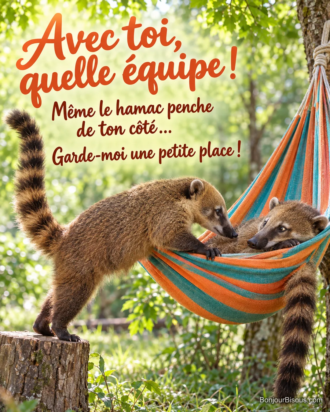 Deux coatis se partagent maladroitement un hamac rayé dans un parc boisé, avec le message « Avec toi, quelle équipe ! Même le hamac penche de ton côté… Garde-moi une petite place ! ».