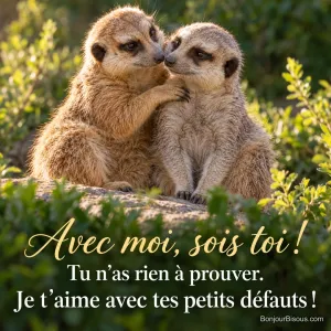 Deux suricates blottis joue contre joue, avec le message « Avec moi, sois toi ! Tu n’as rien à prouver. Je t’aime avec tes petits défauts ! ».