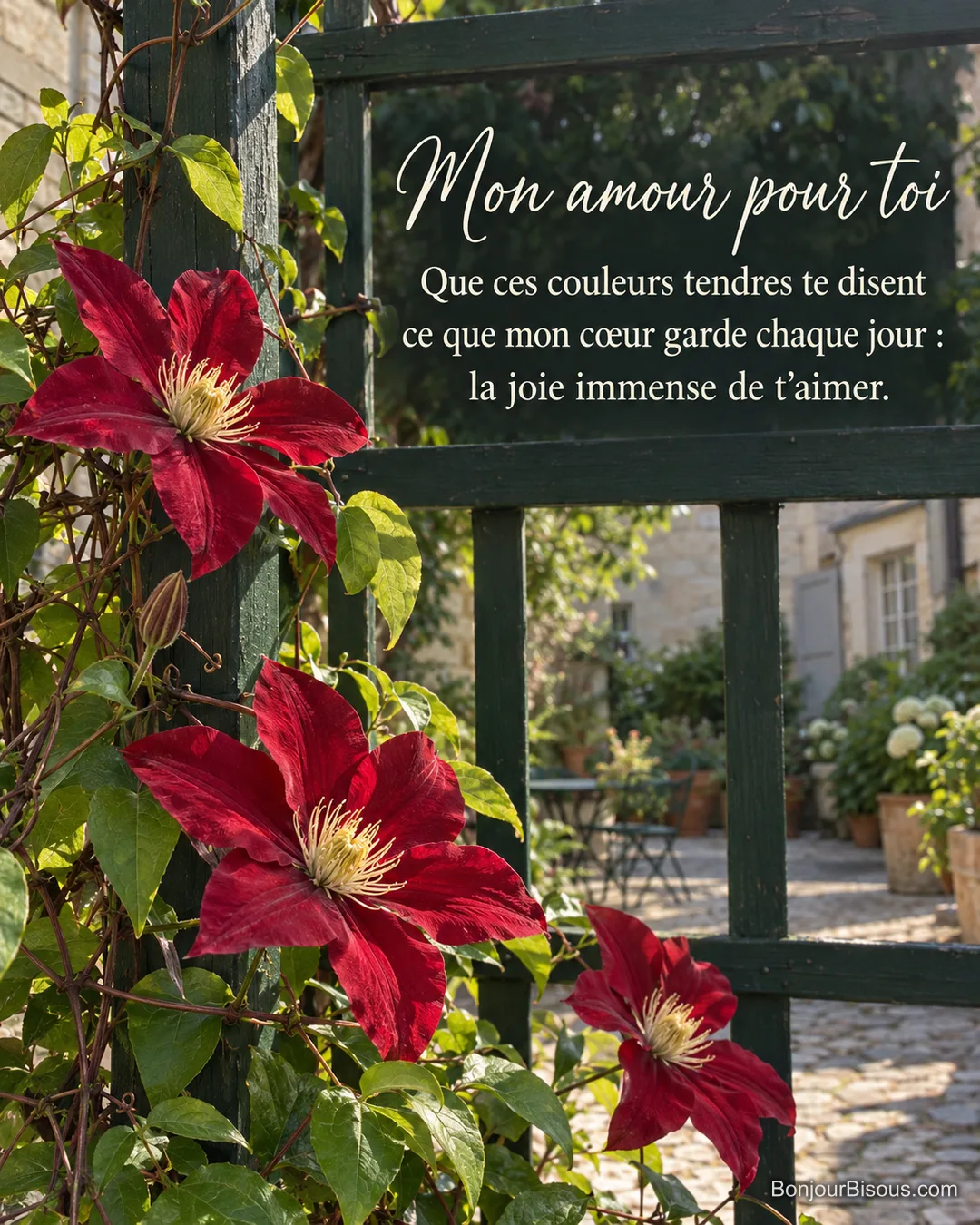 Une clématite rouge carmin fleurit sur un treillage vert dans une cour angevine animée par la brise, avec le texte « Mon amour pour toi Que ces couleurs tendres te disent ce que mon cœur garde chaque jour : la joie immense de t’aimer. ».