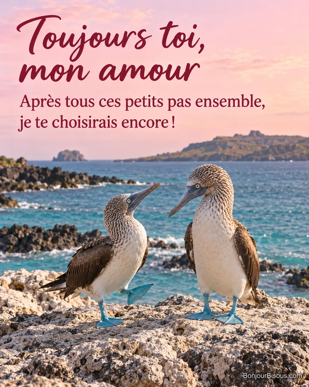 Deux fous à pieds bleus se font une tendre parade sur un rocher, l’un levant une patte turquoise devant l’autre. Le message est : « Toujours toi, mon amour Après tous ces petits pas ensemble, je te choisirais encore ! ».
