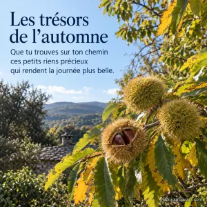 Trois bogues de châtaignier, dont une ouverte sur deux châtaignes, mûrissent sur une branche d’un coteau ardéchois, avec le texte « Les trésors de l’automne Que tu trouves sur ton chemin ces petits riens précieux qui rendent la journée plus belle. ».