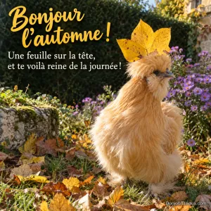 Une poule soie porte une grande feuille jaune comme une couronne d’automne, avec le texte « Bonjour l’automne ! Une feuille sur la tête, et te voilà reine de la journée ! ».