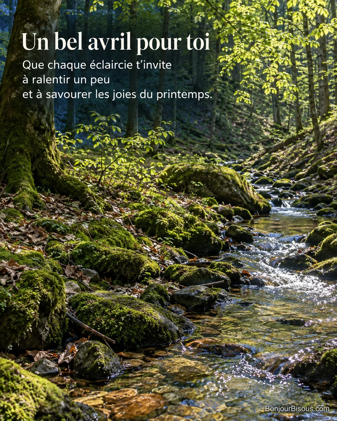 Un ruisselet traverse des pierres couvertes de mousse dans un sous-bois vosgien, avec le texte « Un bel avril pour toi Que chaque éclaircie t’invite à ralentir un peu et à savourer les joies du printemps. ». Un ruisselet traverse des pierres couvertes de mousse dans un sous-bois vosgien, avec le texte « Un bel avril pour toi Que chaque éclaircie t’invite à ralentir un peu et à savourer les joies du printemps. ».
