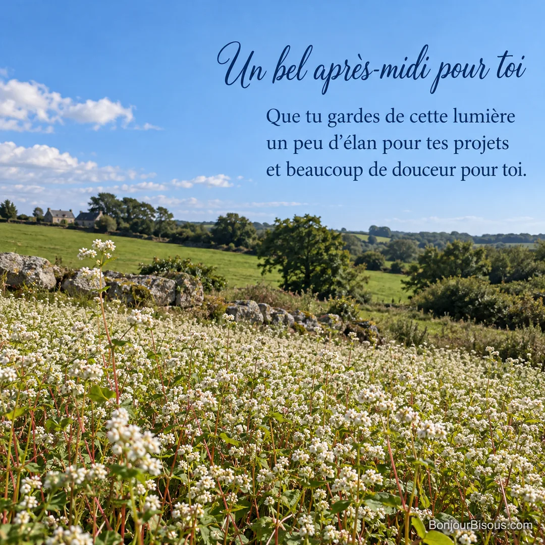 Un champ de sarrasin en fleurs ondule devant une ferme de granit dans la campagne bretonne, avec le message « Un bel après-midi pour toi Que tu gardes de cette lumière un peu d’élan pour tes projets et beaucoup de douceur pour toi. ». Un champ de sarrasin en fleurs ondule devant une ferme de granit dans la campagne bretonne, avec le message « Un bel après-midi pour toi Que tu gardes de cette lumière un peu d’élan pour tes projets et beaucoup de douceur pour toi. ».
