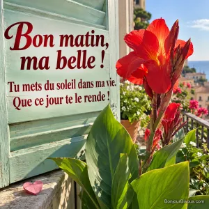 Un canna rouge éclatant s’ouvre au soleil sur un balcon aux volets vert d’eau, avec le texte « Bon matin, ma belle ! Tu mets du soleil dans ma vie. Que ce jour te le rende ! ».