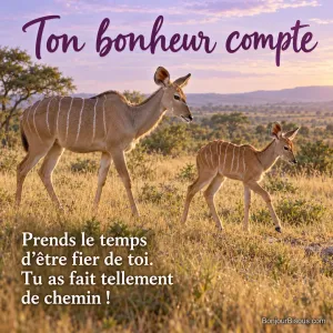 Un petit koudou fait ses premiers pas auprès de sa mère qui le regarde avec douceur. Le message est : « Ton bonheur compte Prends le temps d’être fier de toi. Tu as fait tellement de chemin ! ».