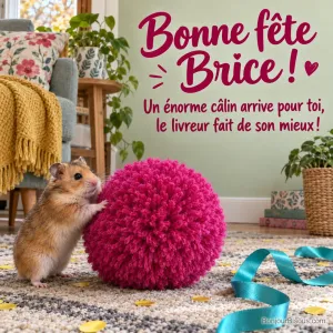 Un petit hamster pousse un pompon fuchsia presque plus grand que lui, au milieu de confettis. Le message est : « Bonne fête Brice ! Un énorme câlin arrive pour toi, le livreur fait de son mieux ! ».