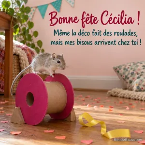 Une gerbille grise se campe sur une grosse bobine de ruban festive, comme un minuscule conducteur, avec le message « Bonne fête Cécilia ! Même la déco fait des roulades, mais mes bisous arrivent chez toi ! ».