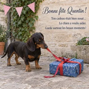Un teckel noir et feu défait le ruban rouge d’un cadeau bleu dans une cour, avec le texte « Bonne fête Quentin ! Ton cadeau était bien noué… Le chien a voulu aider. Garde surtout les beaux moments ! ».