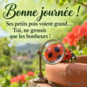 Une coccinelle rouge est agrandie par une loupe posée contre un pot de fleurs au soleil. Le message est : « Bonne journée ! Ses petits pois voient grand… Toi, ne grossis que les bonheurs ! ».