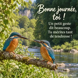 Deux martins-pêcheurs sur une branche au-dessus d’une rivière se rapprochent autour d’une petite brindille. Le message est : « Bonne journée, toi ! Un petit geste dit beaucoup. Tu mérites tant de tendresse ! ».
