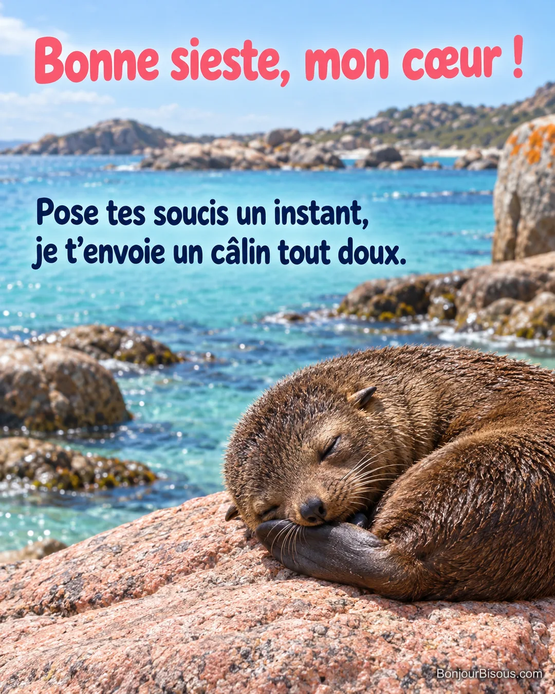 Une jeune otarie du Cap dort paisiblement sur une roche au bord d’une eau turquoise, avec le texte « Bonne sieste, mon cœur ! Pose tes soucis un instant, je t’envoie un câlin tout doux. ». Une jeune otarie du Cap dort paisiblement sur une roche au bord d’une eau turquoise, avec le texte « Bonne sieste, mon cœur ! Pose tes soucis un instant, je t’envoie un câlin tout doux. ».