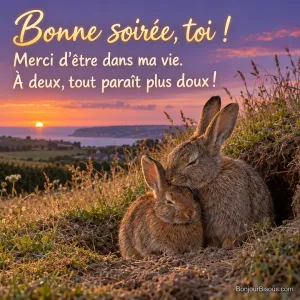 Deux lapins de garenne de pelages différents se blottissent à l’entrée de leur terrier dans la douceur du soir. Le message est : « Bonne soirée, toi ! Merci d’être dans ma vie. À deux, tout paraît plus doux ! ».