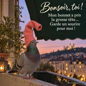 Un pigeon biset porte une chaussette corail bien trop haute comme un bonnet sur un balcon au crépuscule. Le message est : « Bonsoir, toi ! Mon bonnet a pris la grosse tête… Garde un sourire pour moi ! ».