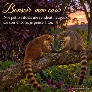 Deux coatis aux pelages distincts se touchent doucement la patte sur une branche à la tombée du soir. Le message est : « Bonsoir, mon cœur ! Nos petits rituels me rendent heureux. Ce soir encore, je pense à toi. ».