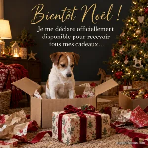 Photo d’un jack russell assis dans un carton ouvert entouré de papier cadeau et de rubans rouges, sapin illuminé derrière, avec le texte « Bientôt Noël ! Je me déclare officiellement disponible pour recevoir tous mes cadeaux… »