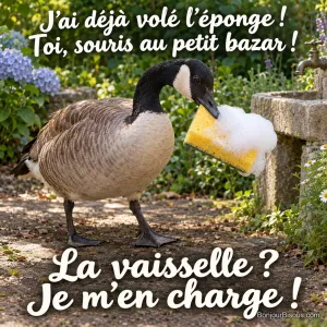 Une bernache emporte une grosse éponge jaune encore couverte de mousse. Le message est : « La vaisselle ? Je m’en charge ! J’ai déjà volé l’éponge ! Toi, souris au petit bazar ! ».