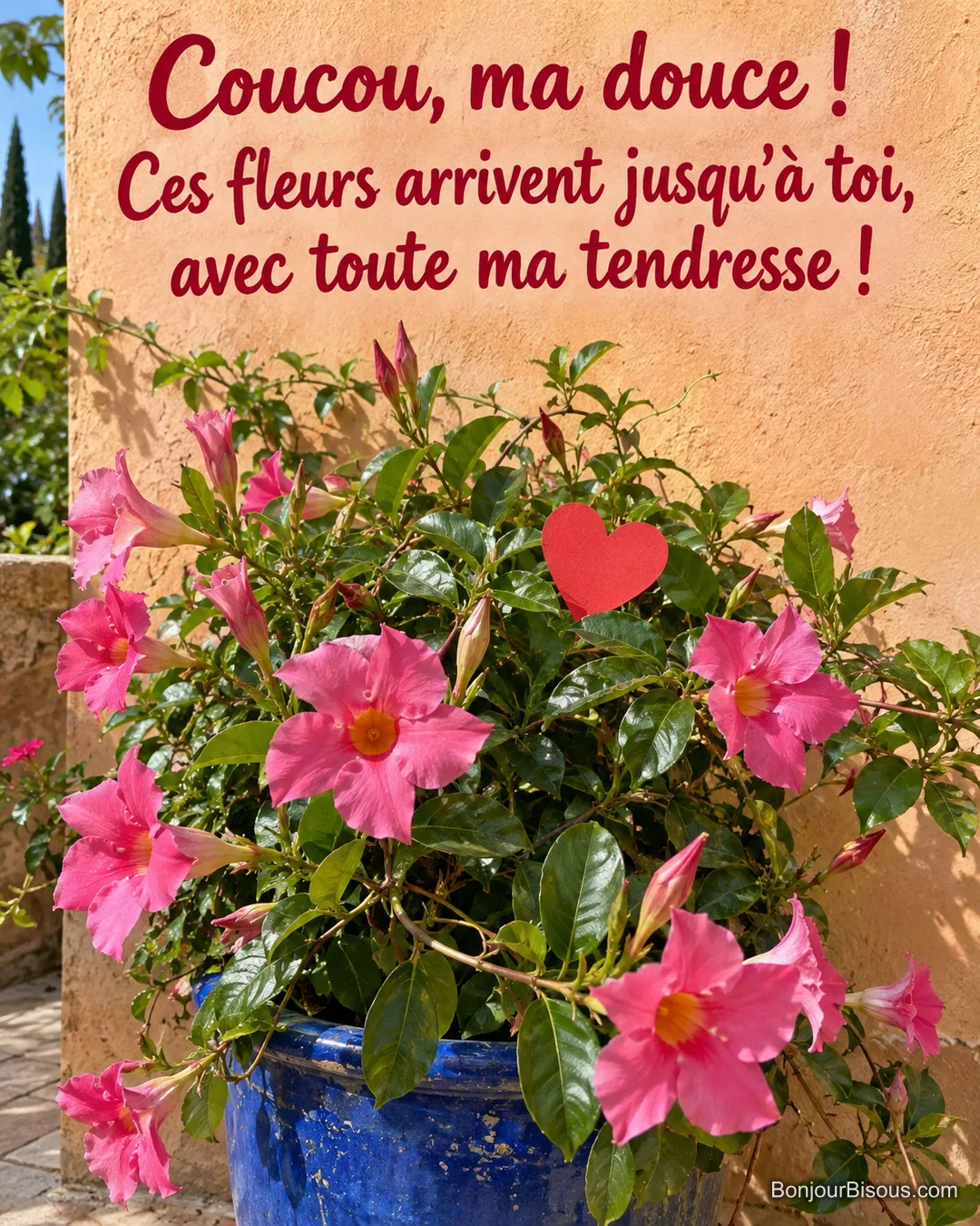Un dipladénia rose fleuri accueille un petit cœur rouge sur une terrasse ensoleillée, avec le texte « Coucou, ma douce ! Ces fleurs arrivent jusqu’à toi, avec toute ma tendresse ! ».