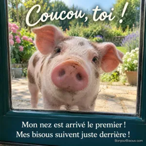 Un porcelet rose presse son groin curieux contre une porte vitrée donnant sur un jardin. Le message est : « Coucou, toi ! Mon nez est arrivé le premier ! Mes bisous suivent juste derrière ! ».