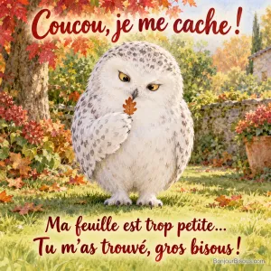 Une chouette harfang bien ronde tente de se cacher derrière une minuscule feuille rousse. Le message est : « Coucou, je me cache ! Ma feuille est trop petite… Tu m’as trouvé, gros bisous ! ».