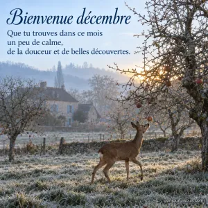 Un chevreuil traverse un verger givré devant une ferme de Bourgogne au petit matin, avec le texte « Bienvenue décembre Que tu trouves dans ce mois un peu de calme, de la douceur et de belles découvertes. ».