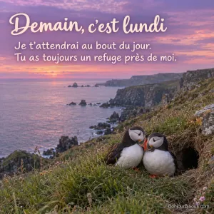 Deux macareux rapprochent doucement leurs becs à l’entrée de leur terrier au crépuscule. Le message est : « Demain, c’est lundi Je t’attendrai au bout du jour. Tu as toujours un refuge près de moi. ».