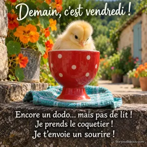 Un minuscule poussin jaune est confortablement installé dans un coquetier rouge bien trop grand, comme dans un drôle de lit. Le message est : « Demain, c’est vendredi ! Encore un dodo… mais pas de lit ! Je prends le coquetier ! Je t’envoie un sourire ! ».