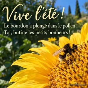 Un bourdon couvert de pollen jaune ressort du cœur d’un tournesol ensoleillé, avec le message « Vive l’été ! Le bourdon a plongé dans le pollen ! Toi, butine les petits bonheurs ! ».