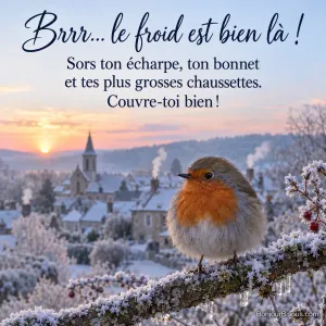 Photo d’un rouge-gorge en boule sur une branche couverte de givre et de petits glaçons, avec un village aux toits blancs et cheminées fumantes au lever du soleil, avec le texte « Brrr… le froid est bien là ! Sors ton écharpe, ton bonnet et tes plus grosses chaussettes. Couvre-toi bien ! »