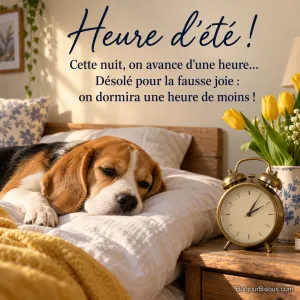 Photo d’un beagle allongé sur un oreiller, l’air fatigué, à côté d’un réveil en laiton et d’un bouquet de tulipes jaunes, avec le texte « Heure d’été ! Cette nuit, on avance d’une heure… Désolé pour la fausse joie : on dormira une heure de moins ! »