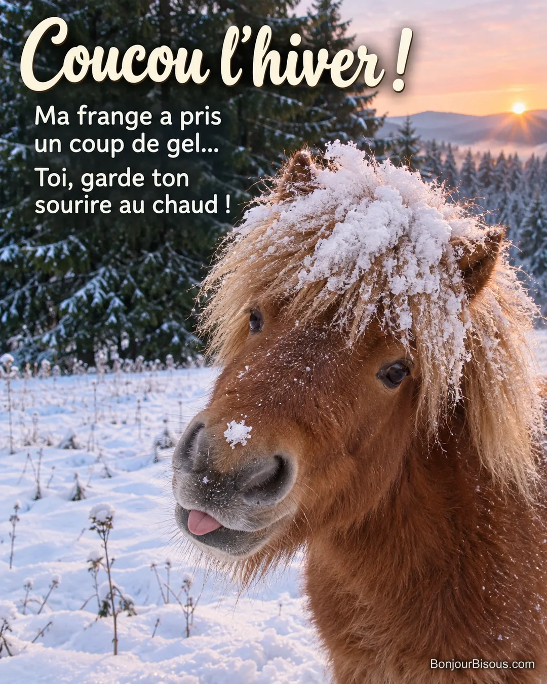 Un poney au toupet enneigé touche un flocon posé sur son museau, avec le texte « Coucou l’hiver ! Ma frange a pris un coup de gel… Toi, garde ton sourire au chaud ! ». Un poney au toupet enneigé touche un flocon posé sur son museau, avec le texte « Coucou l’hiver ! Ma frange a pris un coup de gel… Toi, garde ton sourire au chaud ! ».