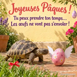 Une petite tortue avance vers un œuf de Pâques décoratif muni d’ailes en papier, avec le texte « Joyeuses Pâques ! Tu peux prendre ton temps… Les œufs ne vont pas s’envoler ! ».