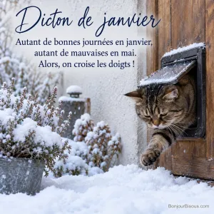 Photo d’un chat tigré qui passe la tête par une chatière et pose une patte dans la neige épaisse d’un jardin d’hiver, avec le texte « Dicton de janvier – Autant de bonnes journées en janvier, autant de mauvaises en mai. Alors, on croise les doigts ! »