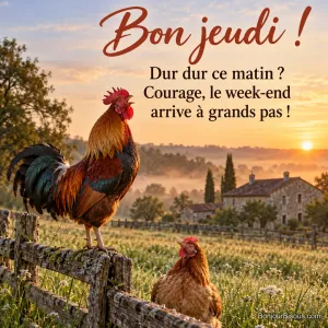 Photo d’un coq roux et vert qui chante sur une barrière en bois au lever du soleil, une poule en dessous et une ferme en pierre dans la brume, avec le texte « Bon jeudi ! Dur dur ce matin ? Courage, le week-end arrive à grands pas ! »