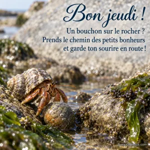 Un bernard-l’ermite contourne un petit galet qui lui barre le passage entre des pierres du littoral vendéen, avec le texte « Bon jeudi ! Un bouchon sur le rocher ? Prends le chemin des petits bonheurs et garde ton sourire en route ! ».