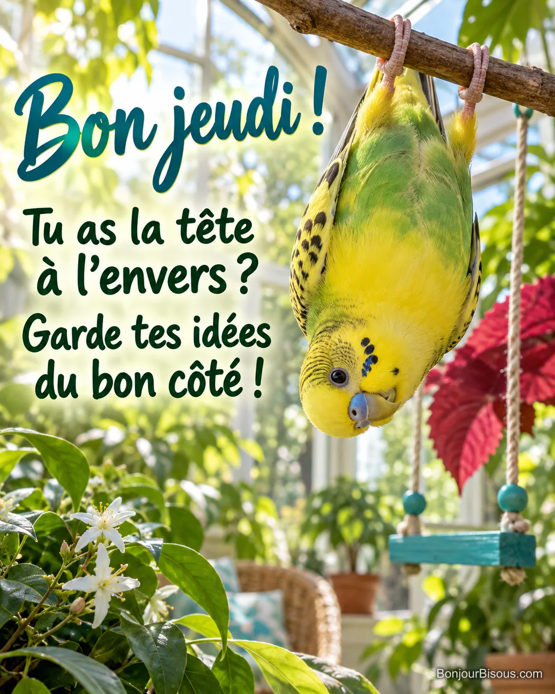Une perruche jaune et verte se suspend tête en bas à son perchoir dans une véranda, avec le texte « Bon jeudi ! Tu as la tête à l’envers ? Garde tes idées du bon côté ! ».