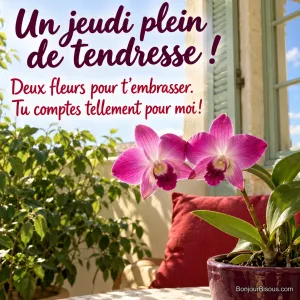 Deux tiges de dendrobium rose se rejoignent comme un baiser devant une fenêtre aux volets verts, avec le texte « Un jeudi plein de tendresse ! Deux fleurs pour t’embrasser. Tu comptes tellement pour moi ! ».