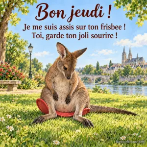 Un wallaby s’est assis au centre d’un frisbee rouge souple qui se replie autour de lui dans un parc. Le message est : « Bon jeudi ! Je me suis assis sur ton frisbee ! Toi, garde ton joli sourire ! ».
