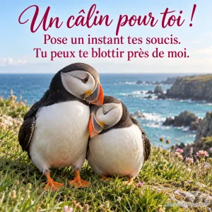 Deux macareux moines se blottissent joue contre joue sur une falaise herbeuse, avec le message « Un câlin pour toi ! Pose un instant tes soucis. Tu peux te blottir près de moi. ».