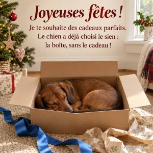 Un petit chien dort dans une boîte cadeau vide près d’une fenêtre décorée de houx, avec le texte « Joyeuses fêtes ! Je te souhaite des cadeaux parfaits. Le chien a déjà choisi le sien : la boîte, sans le cadeau ! ».
