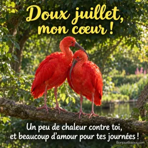 Deux ibis rouges se blottissent tendrement sur une branche dans la lumière de juillet, avec le texte « Doux juillet, mon cœur ! Un peu de chaleur contre toi, et beaucoup d’amour pour tes journées ! ».