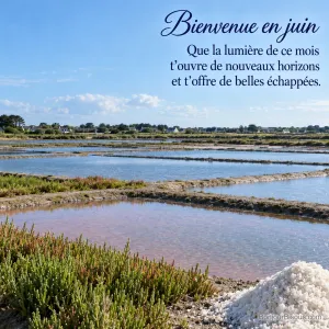 Des bassins turquoise des marais salants de Guérande s’étendent derrière un petit tas de sel et des salicornes, avec le texte « Bienvenue en juin Que la lumière de ce mois t’ouvre de nouveaux horizons et t’offre de belles échappées. ».