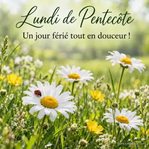 Photo d’une coccinelle sur une marguerite blanche dans une prairie avec des boutons d’or, lumière douce, avec le texte « Lundi de Pentecôte – Un jour férié tout en douceur ! »