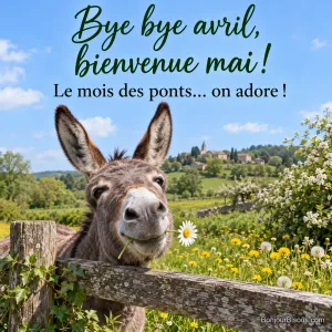 Photo d’un âne gris qui passe la tête par-dessus une barrière en bois, une marguerite dans la bouche, devant un pré de pissenlits et un village perché, avec le texte « Bye bye avril, bienvenue mai ! Le mois des ponts… on adore ! »