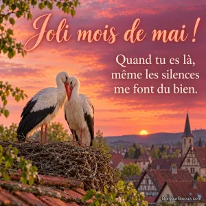 Deux cigognes blanches rapprochent tendrement leurs fronts dans un nid au-dessus des toits alsaciens, sous un ciel rose, avec le message « Joli mois de mai ! Quand tu es là, même les silences me font du bien. ».