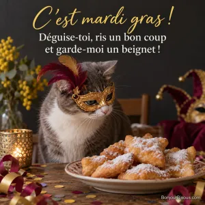 Photo d’un chat gris et blanc portant un loup doré à plumes devant une assiette de beignets au sucre glace, confettis et serpentins sur la table, avec le texte « C’est mardi gras ! Déguise-toi, ris un bon coup et garde-moi un beignet ! »