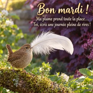 Un troglodyte mignon transporte une plume blanche si longue qu’elle lui cache une partie de la vue. Le message est : « Bon mardi ! Ma plume prend toute la place… Toi, écris une journée pleine de rires ! ».